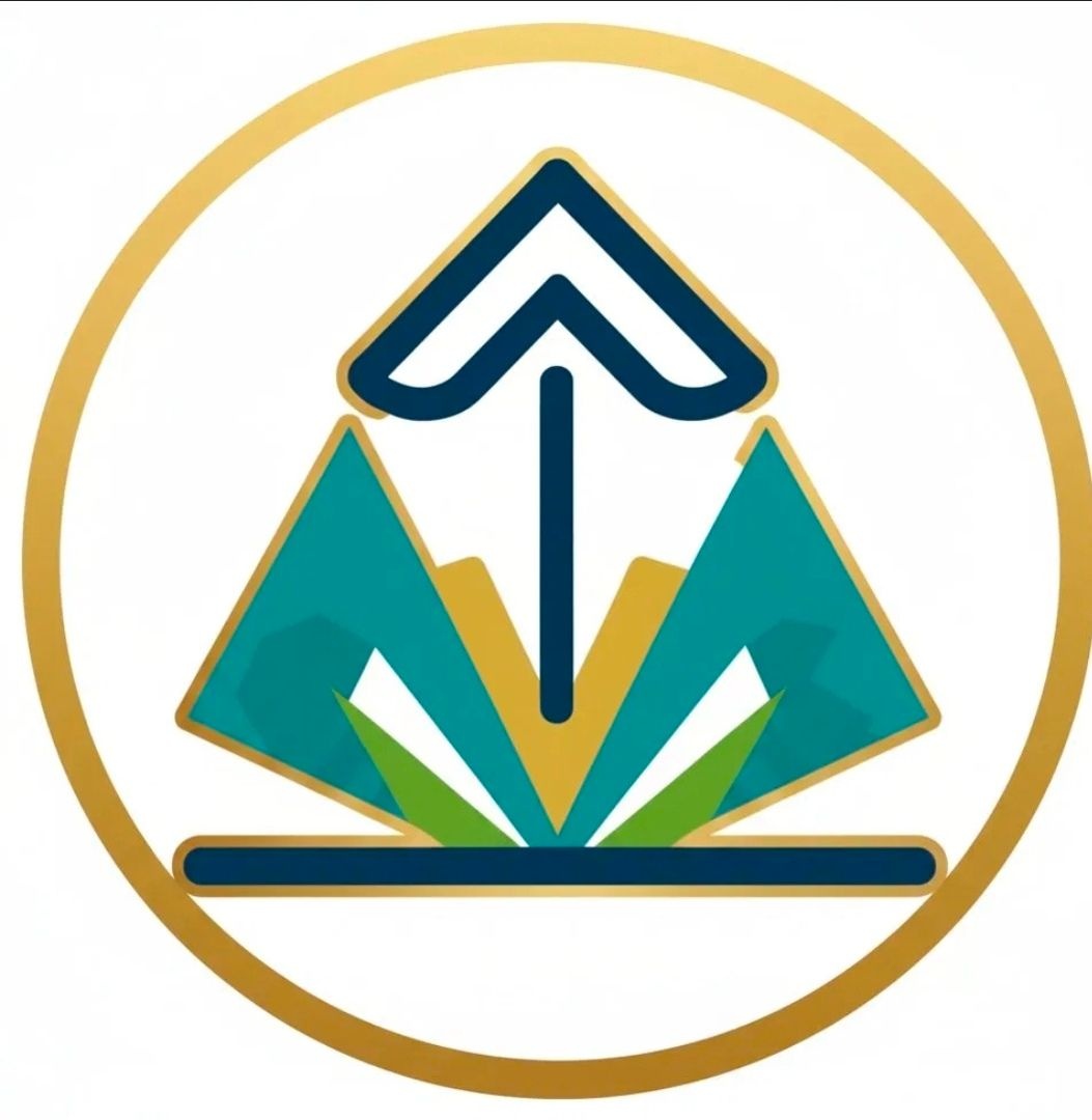 VISION USA Logo